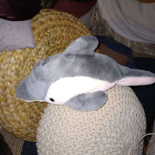 Plush dolphin new, can be used as a pillow