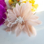 Various decorative flowers new