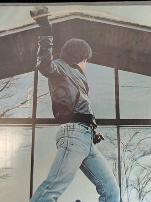 Billy Joel Glass Houses vinyl used