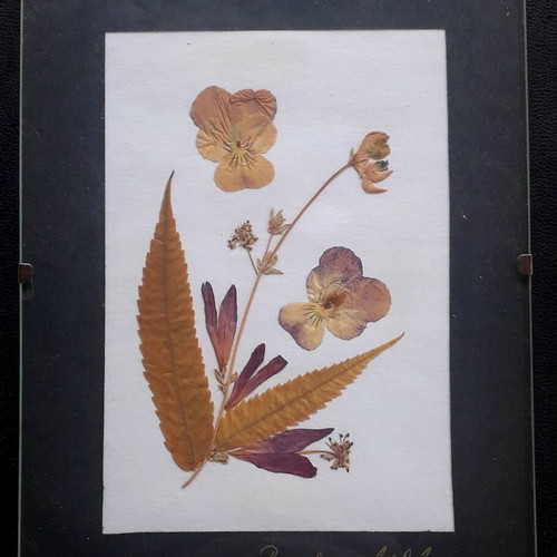 Picture frames used set of 2 with dried flowers from Prague