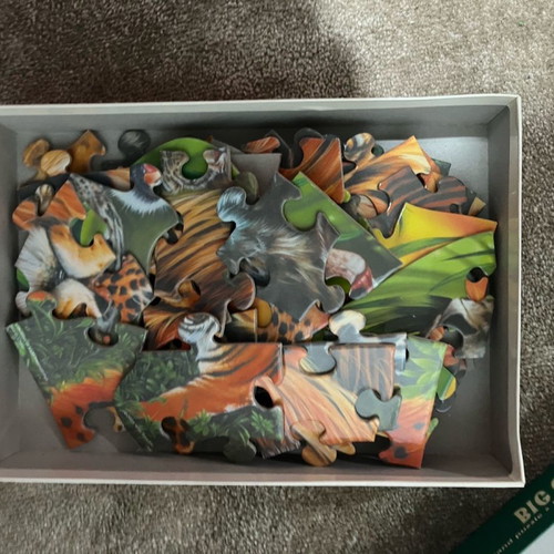 Animal puzzles used, pack of 2 (Big cats and penguins)