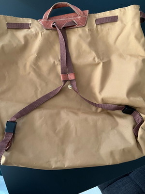 Longchamp backpack