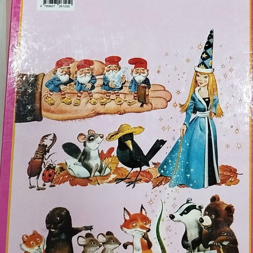 The Fairies of the Forest new children's book