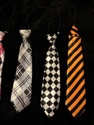 Set of 5 children's ties with elastic used, various colors and patterns
