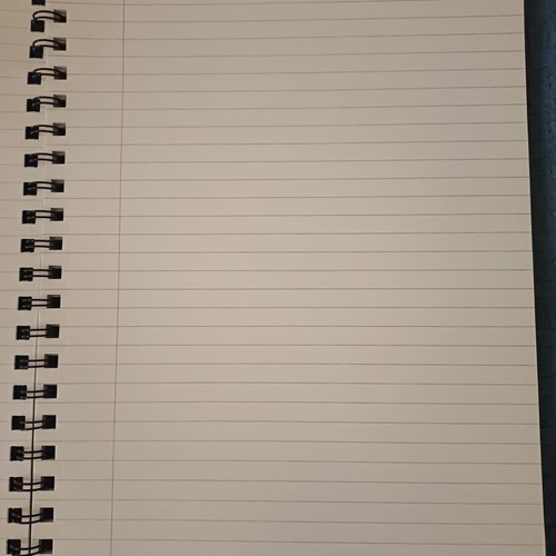 Skag notebook A4 2 subjects new, black & white