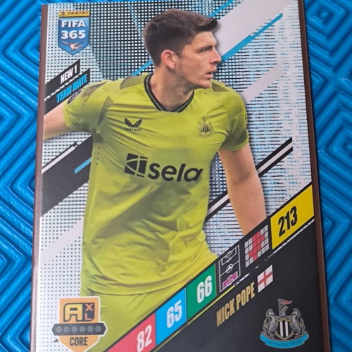 Panini FIFA 365 Team Mates 5-Card Set like new with sleeves