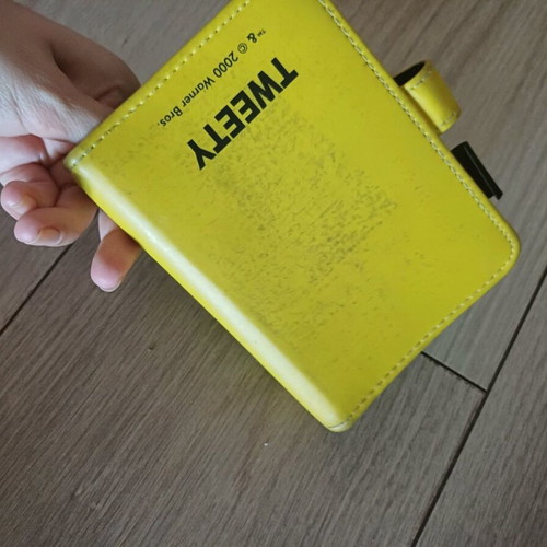 Tweety notepad used