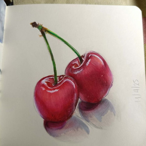 Cherry Drawing in Mini Sketchbook like new