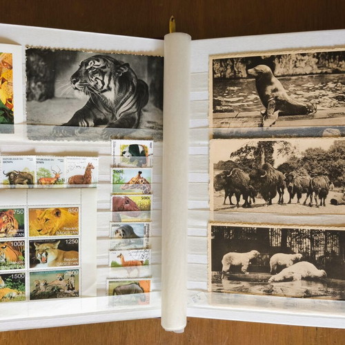 A4 Album 16 Pages with Rich Animal Stamp Collection like new