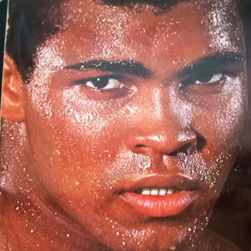 Boxing Book New