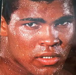 Boxing Book New