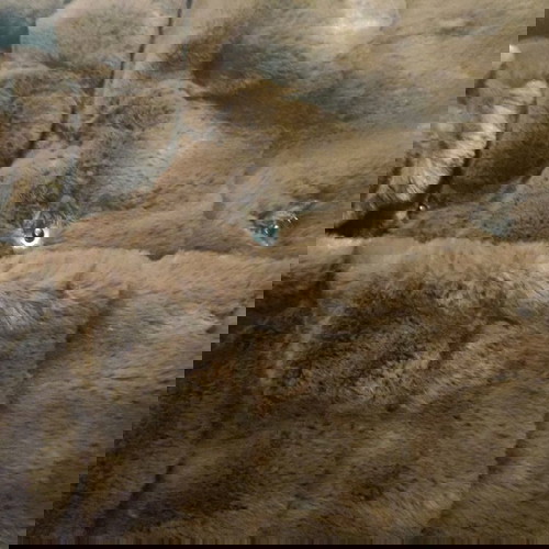 Πανωφόρι faux fur με κουκούλα καινούργιο, καφέ, one size