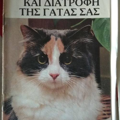 Care and Nutrition of Your Cat used book