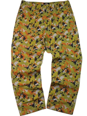 Dickies Artondale Camo Duck Pant used