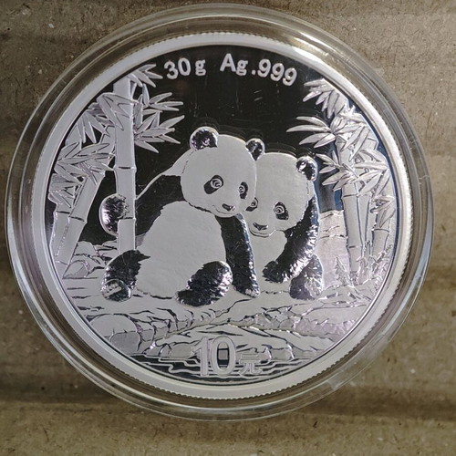 Silver Panda 30g .999 2026 new in capsule