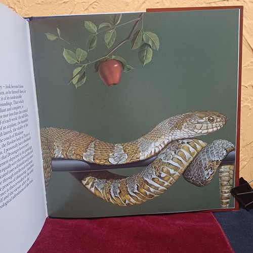 Droungas Art Book like new, bilingual edition