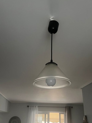 Ceiling light new