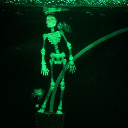 Aquarium skeleton figure new, dancing decoration
