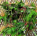  Στεφάνι όλων των εποχών, Χειροποίητο με φρέσκα κλαδιά Natural Fresh Evergreen Wreath