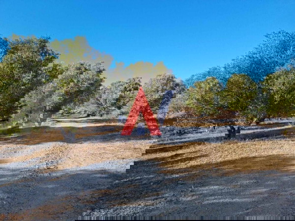 Αγία Παρασκευή Χαλκιδικής αγροτεμάχιο 4500τμ
