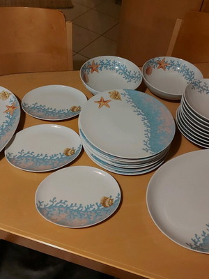 Ionia dish set like new with 8 deep, 8 shallow, 5 oval plates and 2 salad bowls