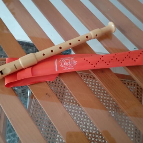 Flute musical instrument