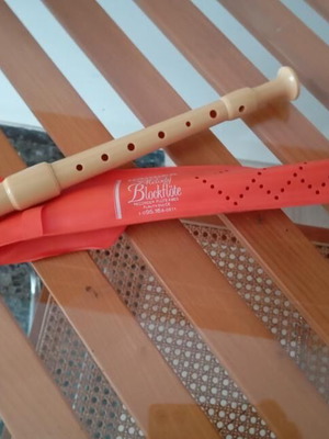 Flute musical instrument