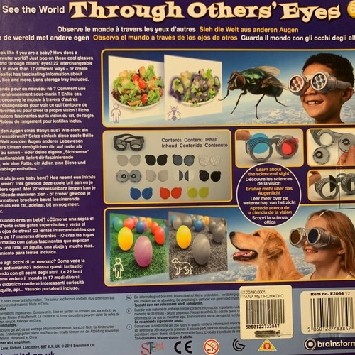 See the World Through Others' Eyes educational game used