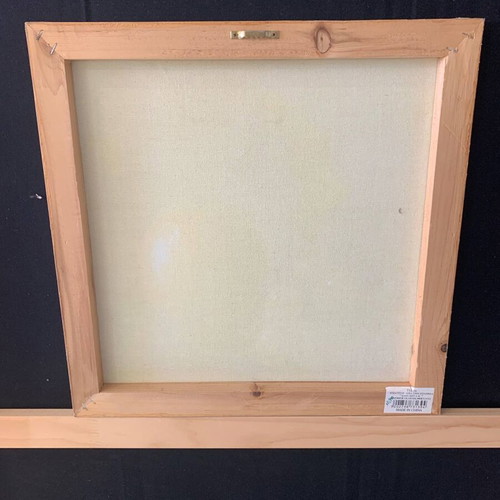 Canvas fruit synthesis 38x38 like new