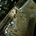 Πρες παπιε (PAPERWEIGHT) Λεόν Royal Krona Mats Jonasson Sweden full lead crystal 70'