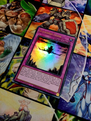 Blackbird Close L5DD Ultra Rare Yu-Gi-Oh! card