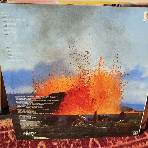 Foundation Flames vinyl record used, reggae