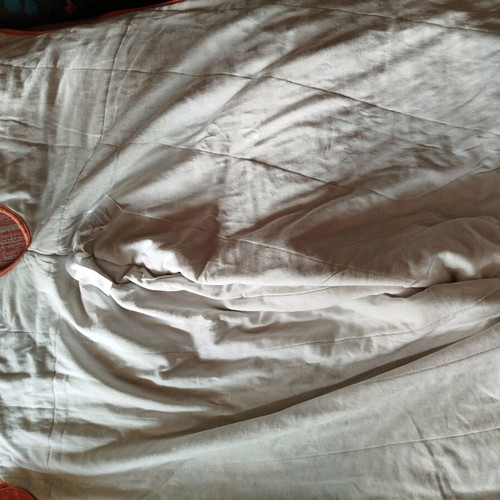Grobag sleeping bag used 6-18 months with shark design, 2.5 tog