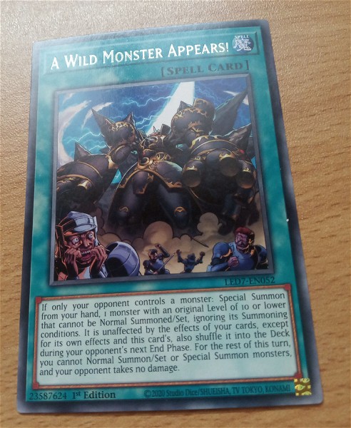  A Wild Monster Appears! (Rare)