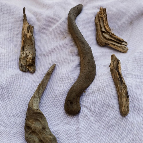 Driftwood pieces for decoration and crafts