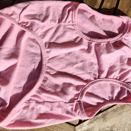 Dog shirt used for female dogs