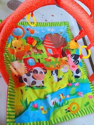 Βρεφικό γυμναστήριο μαζί με μαξιλάρι για Tammy Time μεταχειρισμένο