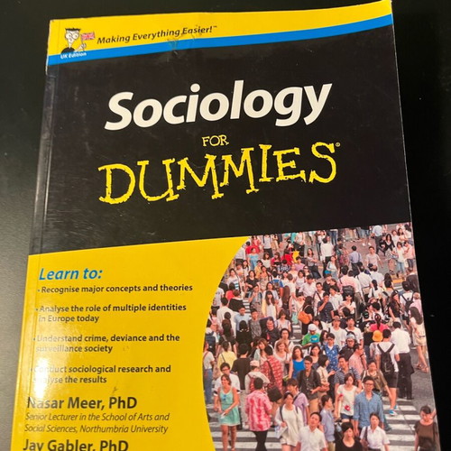 Sociology For Dummies book like new, English