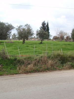 ΚΑΓΚΑΔΙ  ΑΧΑΪΑΣ  ΠΩΛΗΣΗ  ΟΙΚΟΠΕΔΟΥ  7.445  Τ.Μ.