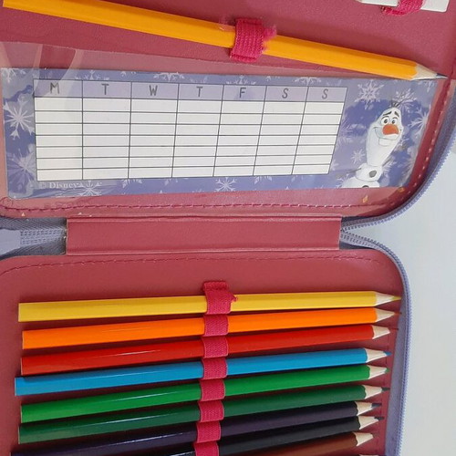 Frozen school pencil case double new filled