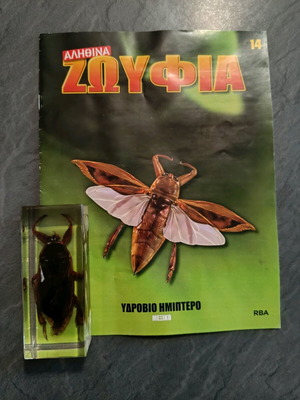 Alithina Zoyfia issue 14 used