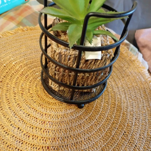 Decorative plant in seaweed new, together