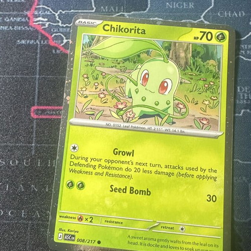 Chikorita Ascended Heroes 008 Cosmos Holo card new