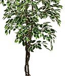  Τεχνητό δέντρο- φυτό   σε γλάστρα