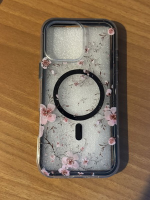 Iphone 16 Pro Max case new