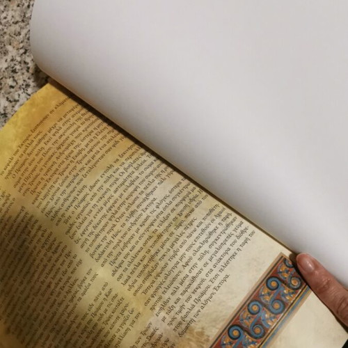 Homer's Iliad like new, complete illustrated edition