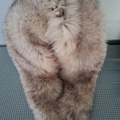 Fox fur collar new, beige, 120x20 cm