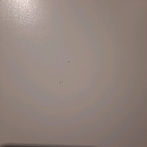 Lack shelf Ikea used with very minor wear
