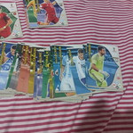 Panini Russia 2018 cards used, 68 singles and 5 duplicates