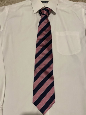 Tie No 105 like new, blue and purple